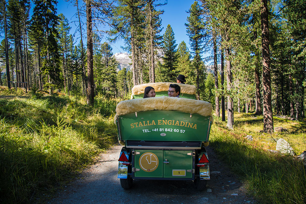 Stalla Engiadina